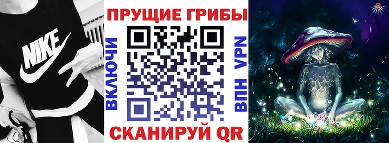 наркошоп Мытищи блэк спрут зеркало Псилоцибиновые грибы Psilocybe